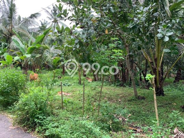 Kavling Tanah untuk Dijual di Senggigi, Lombok Barat, Luas 12737m2 Kavling Tanah untuk Dijual di Senggigi, Lombok Barat, Luas 12737m2