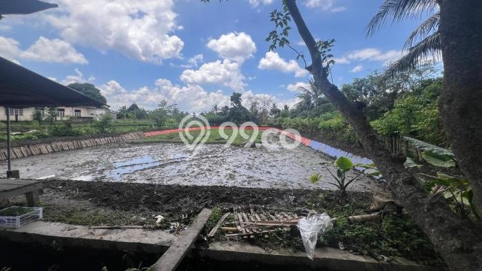 Dijual Tanah di Narmada Lombok Barat Luas 1400m2 SHM Dijual Tanah di Narmada Lombok Barat Luas 1400m2 SHM
