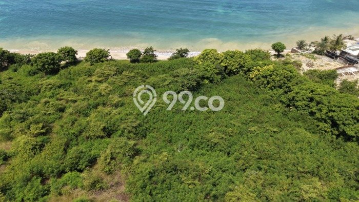 Tanah untuk Dijual di Pujut Lombok Tengah Luas 3950m2 Tanah untuk Dijual di Pujut Lombok Tengah Luas 3950m2