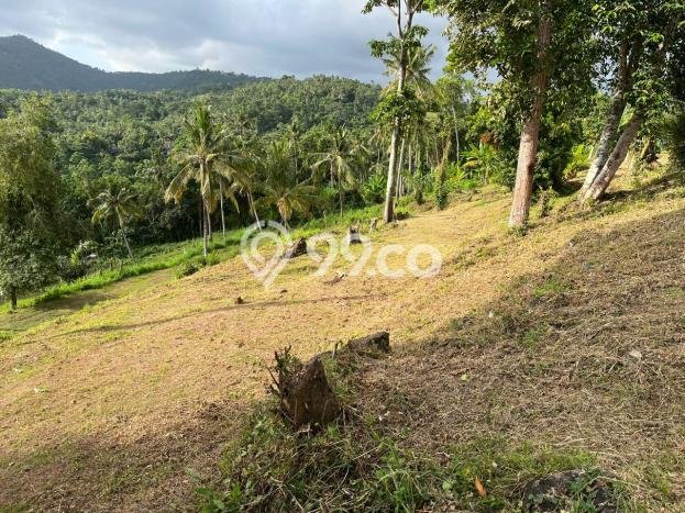 Lahan Strategis di Batu Layar Dijual dengan Luas 15000m2 Lahan Strategis di Batu Layar Dijual dengan Luas 15000m2