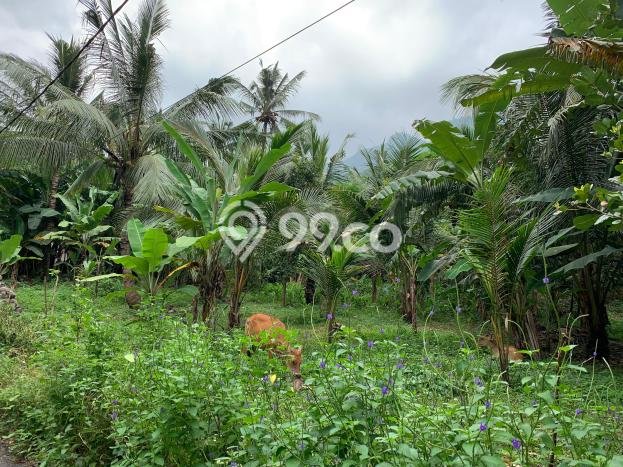 Kavling Tanah untuk Dijual di Senggigi, Lombok Barat, Luas 12737m2 Kavling Tanah untuk Dijual di Senggigi, Lombok Barat, Luas 12737m2
