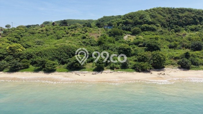 Tanah untuk Dijual di Pujut Lombok Tengah Luas 3950m2 Tanah untuk Dijual di Pujut Lombok Tengah Luas 3950m2