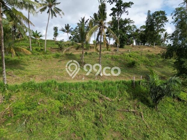 Lahan Strategis di Batu Layar Dijual dengan Luas 15000m2 Lahan Strategis di Batu Layar Dijual dengan Luas 15000m2