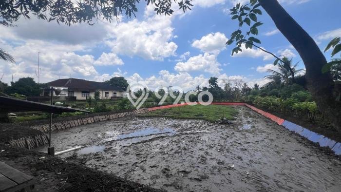 Dijual Tanah di Narmada Lombok Barat Luas 1400m2 SHM Dijual Tanah di Narmada Lombok Barat Luas 1400m2 SHM