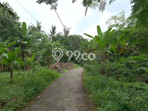 Kavling Tanah untuk Dijual di Senggigi, Lombok Barat, Luas 12737m2 Kavling Tanah untuk Dijual di Senggigi, Lombok Barat, Luas 12737m2