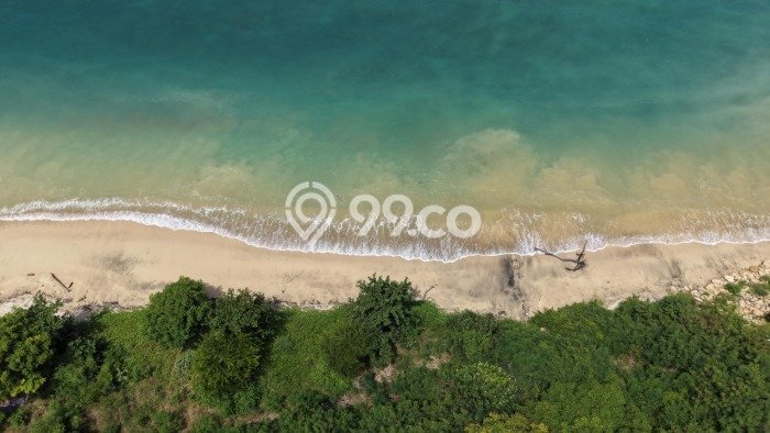 Tanah untuk Dijual di Pujut Lombok Tengah Luas 3950m2 Tanah untuk Dijual di Pujut Lombok Tengah Luas 3950m2