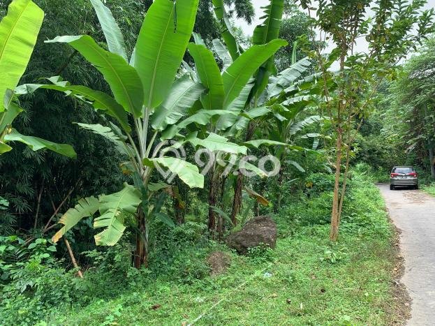 Kavling Tanah untuk Dijual di Senggigi, Lombok Barat, Luas 12737m2 Kavling Tanah untuk Dijual di Senggigi, Lombok Barat, Luas 12737m2