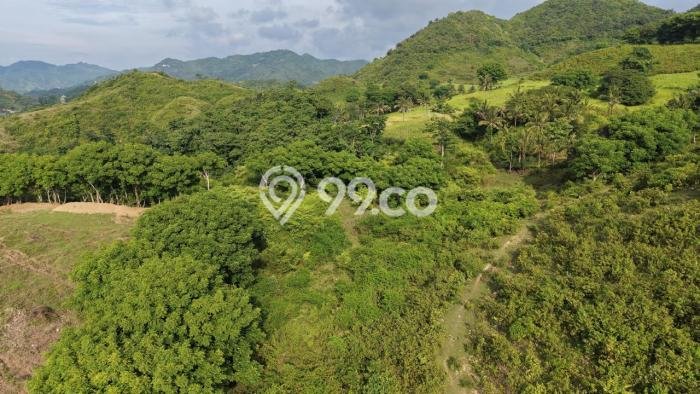 Kavling Tanah Dijual di Pujut Lombok Tengah Spesifikasi 500m2 Kavling Tanah Dijual di Pujut Lombok Tengah Spesifikasi 500m2
