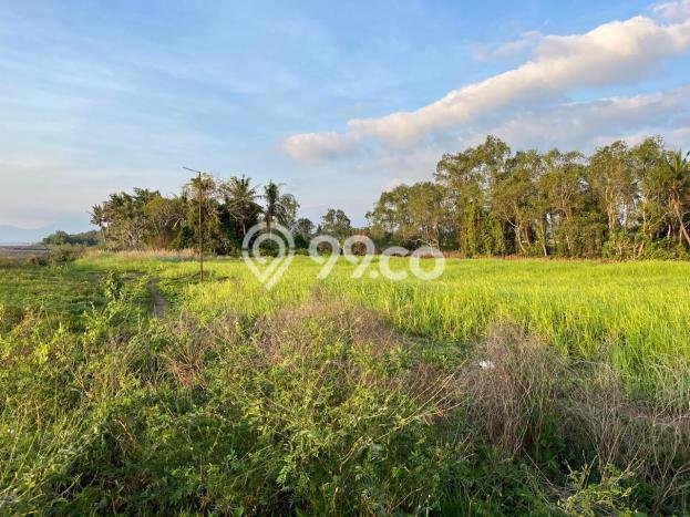 Kavling Tanah di Lembar Dijual Luas 4000m2 Legalitas SHM Kavling Tanah di Lembar Dijual Luas 4000m2 Legalitas SHM