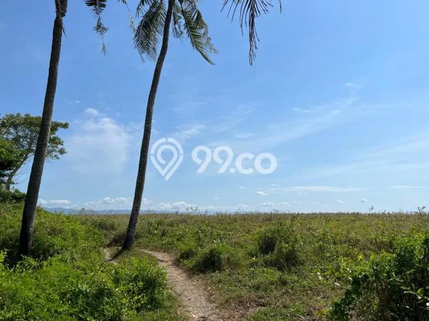 Tanah Kavling di Labu Api Dijual dengan Luas 1000m2 Tanah Kavling di Labu Api Dijual dengan Luas 1000m2