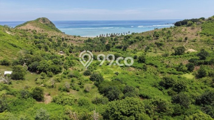 Tanah untuk Dijual di Pujut Lombok Tengah Luas 3950m2 Tanah untuk Dijual di Pujut Lombok Tengah Luas 3950m2