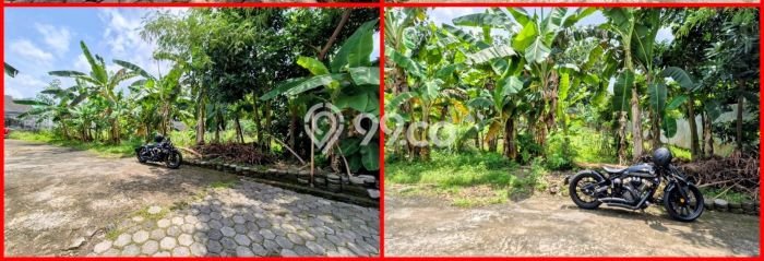 Tanah Dijual Lokasi Mlati, Sleman dengan Luas Tanah 771m2 dan Status SHM Tanah Dijual Lokasi Mlati, Sleman dengan Luas Tanah 771m2 dan Status SHM