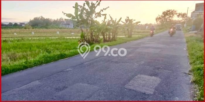 Kavling Tanah di Kalasan Dijual Luas 1400m2 Legalitas SHM Kavling Tanah di Kalasan Dijual Luas 1400m2 Legalitas SHM