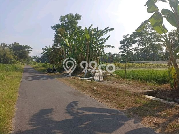 Tanah Kavling di Ngemplak Dijual dengan Luas 506m2 Tanah Kavling di Ngemplak Dijual dengan Luas 506m2
