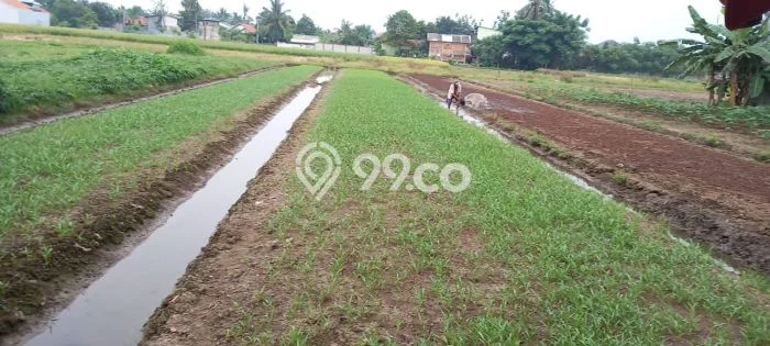 Untuk Dijual Tanah di Sepatan Tangerang Luas 5800m2 SHM Untuk Dijual Tanah di Sepatan Tangerang Luas 5800m2 SHM