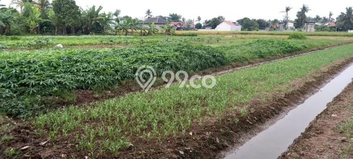 Untuk Dijual Tanah di Sepatan Tangerang Luas 5800m2 SHM Untuk Dijual Tanah di Sepatan Tangerang Luas 5800m2 SHM