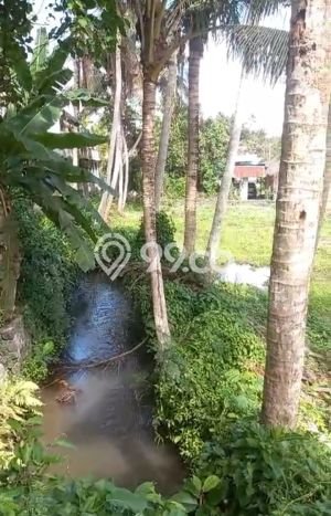 Kavling Tanah untuk Dijual di Saba, Gianyar, Luas 1697m2 Kavling Tanah untuk Dijual di Saba, Gianyar, Luas 1697m2