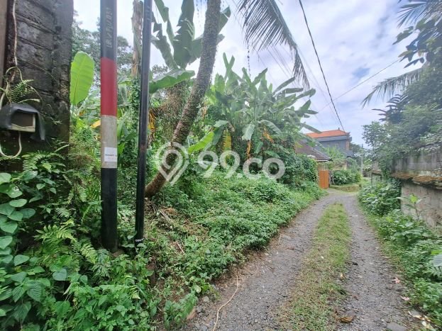 Tanah Kavling Dijual di Gianyar dengan Spesifikasi 500m2 Tanah Kavling Dijual di Gianyar dengan Spesifikasi 500m2