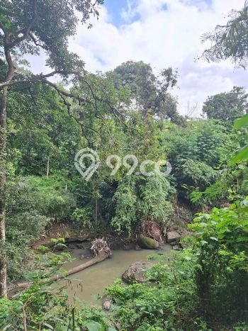 Tanah Dijual Area Strategis di Munggu Badung 1100m2 Tanah Dijual Area Strategis di Munggu Badung 1100m2