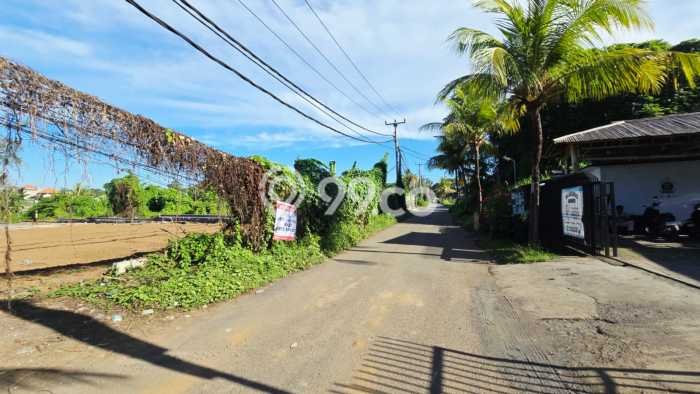 Tanah Disewa di Keramas Strategis dan Memiliki Luas 2500m2 Tanah Disewa di Keramas Strategis dan Memiliki Luas 2500m2
