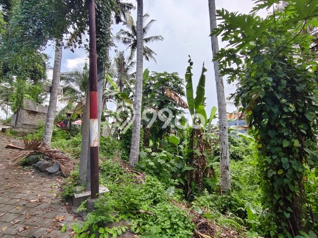 Kavling Tanah untuk Dijual di Saba, Gianyar, Luas 1697m2 Kavling Tanah untuk Dijual di Saba, Gianyar, Luas 1697m2