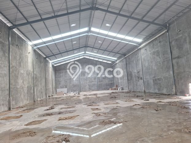 Gudang Disewakan Lokasi Denpasar Utara Denpasar Harga Spesial! Gudang Disewakan Lokasi Denpasar Utara Denpasar Harga Spesial!