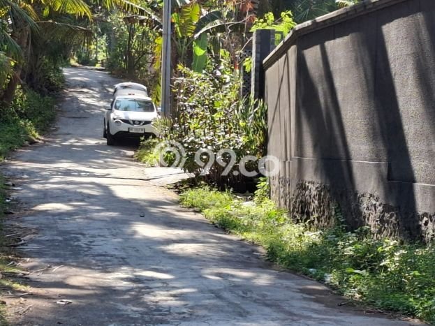 Tanah Kavling Dijual di Gianyar dengan Spesifikasi 1735m2 Tanah Kavling Dijual di Gianyar dengan Spesifikasi 1735m2