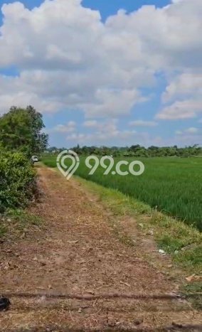 Tanah Kavling Dijual di Tabanan dengan Spesifikasi 146m2 Tanah Kavling Dijual di Tabanan dengan Spesifikasi 146m2