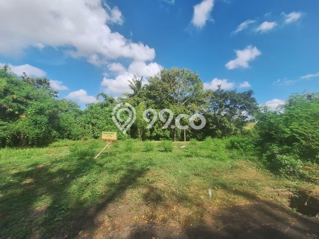 Tanah Dijual Area Strategis di Munggu Badung 1100m2 Tanah Dijual Area Strategis di Munggu Badung 1100m2
