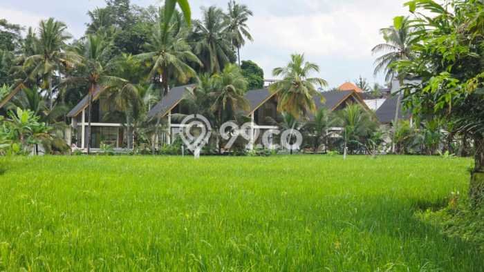 Tanah Kavling Dijual di Gianyar dengan Spesifikasi 500m2 Tanah Kavling Dijual di Gianyar dengan Spesifikasi 500m2