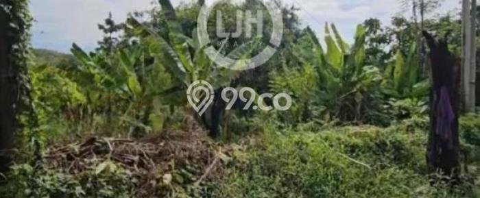 Dijual Tanah Kawasan Tomo, Luas 6193m2m², Dekat Tomo, Sumedang, Sumedang Dijual Tanah Kawasan Tomo, Luas 6193m2m², Dekat Tomo, Sumedang, Sumedang