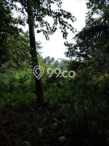 Untuk Dijual Tanah di Ciamis, Luas 1422m2 SHM Untuk Dijual Tanah di Ciamis, Luas 1422m2 SHM