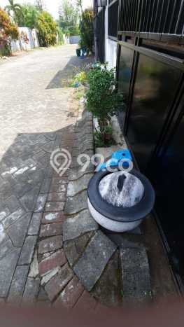 Dijual Rumah Minimalis Bagus Punya 3 KT di Lowokwaru Malang SHM Dijual Rumah Minimalis Bagus Punya 3 KT di Lowokwaru Malang SHM