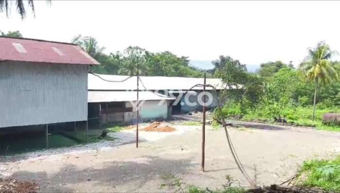 Gudang Disewakan di Bogor Barat, Luas 1960m², Area Premium, Ready Operasi Gudang Disewakan di Bogor Barat, Luas 1960m², Area Premium, Ready Operasi