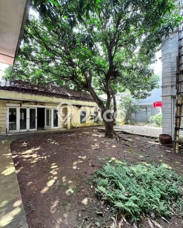 Dijual Rumah Elit Exclusive di Menteng, Jakarta Pusat Dijual Rumah Elit Exclusive di Menteng, Jakarta Pusat