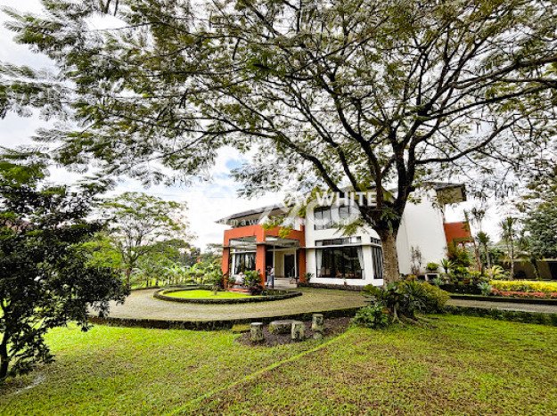Lokasi Ideal! Vila di Ciawi, Area 2950m2m², Kondisi Terbaik Lokasi Ideal! Vila di Ciawi, Area 2950m2m², Kondisi Terbaik