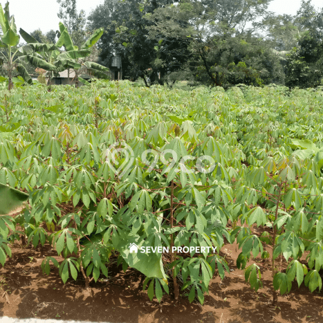 Tanah Kosong Dijual di Bogor dengan Area 6000m2 Tanah Kosong Dijual di Bogor dengan Area 6000m2