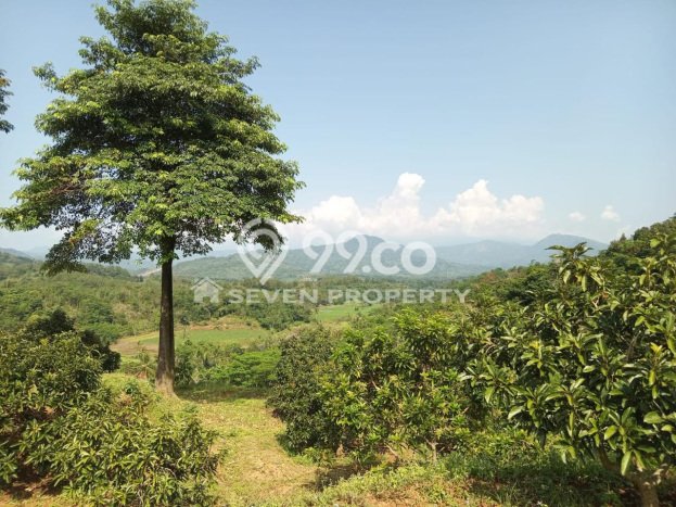 Tanah Dijual Lokasi Tanjungsari Bogor SHM Tanah Dijual Lokasi Tanjungsari Bogor SHM