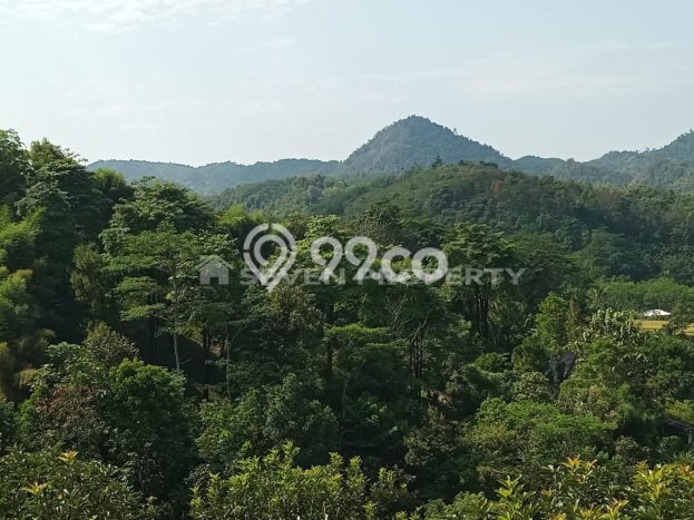 Tanah Dijual Lokasi Tanjungsari Bogor SHM Tanah Dijual Lokasi Tanjungsari Bogor SHM