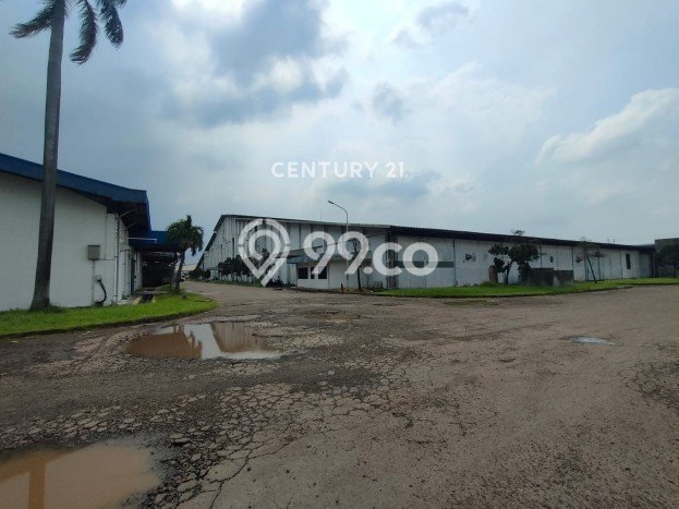 Unit Gudang Disewa Lokasi Cibitung, Bekasi Spesifikasi Luas Bangunan 63378m2 Unit Gudang Disewa Lokasi Cibitung, Bekasi Spesifikasi Luas Bangunan 63378m2