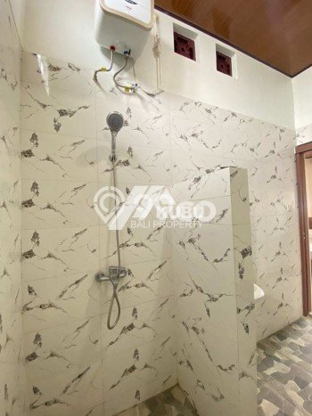 Sewa Rumah Harga Terjangkau di Sanur Denpasar Punya 4 KT Sewa Rumah Harga Terjangkau di Sanur Denpasar Punya 4 KT