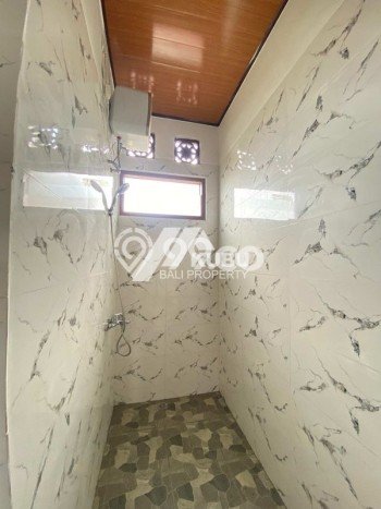 Sewa Rumah Harga Terjangkau di Sanur Denpasar Punya 4 KT Sewa Rumah Harga Terjangkau di Sanur Denpasar Punya 4 KT