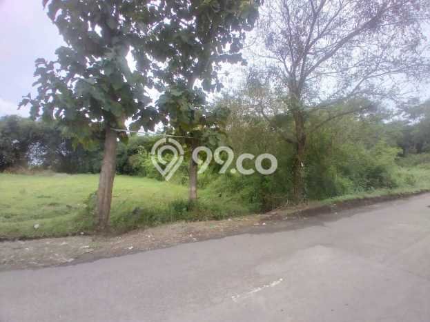Jarang Ada! Tanah di Karanganom Punya Luas 1708m2 SHM Jarang Ada! Tanah di Karanganom Punya Luas 1708m2 SHM
