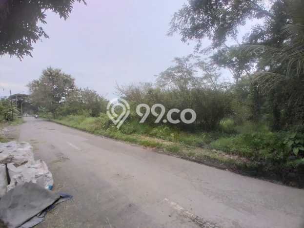 Jarang Ada! Tanah di Karanganom Punya Luas 1708m2 SHM Jarang Ada! Tanah di Karanganom Punya Luas 1708m2 SHM