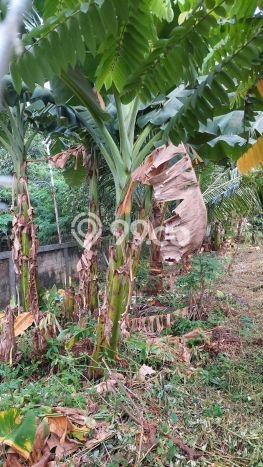 Tanah Dijual Lokasi Strategis di Jakarta Selatan dengan Luas 540m2 Tanah Dijual Lokasi Strategis di Jakarta Selatan dengan Luas 540m2
