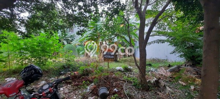 Dijual Tanah 371m2 di Pantai Indah Kapuk, Jakarta Utara Dijual Tanah 371m2 di Pantai Indah Kapuk, Jakarta Utara