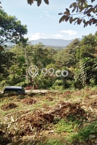 Lahan Kosong Dijual di Leuwiliang, Bogor, Luas 2150m2 Area Strategis Lahan Kosong Dijual di Leuwiliang, Bogor, Luas 2150m2 Area Strategis