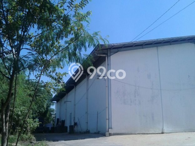 Area Ramai! Gudang Dijual di Balaraja untuk Bisnis Luas Bangunan 667m2 Area Ramai! Gudang Dijual di Balaraja untuk Bisnis Luas Bangunan 667m2