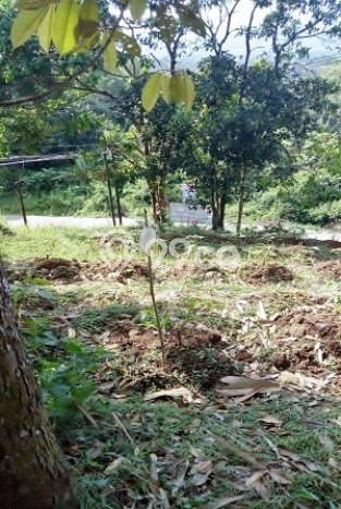 Lahan Kosong Dijual di Leuwiliang, Bogor, Luas 2150m2 Area Strategis Lahan Kosong Dijual di Leuwiliang, Bogor, Luas 2150m2 Area Strategis