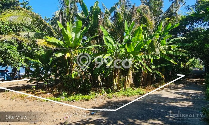 Kavling Tanah Dijual di Karangasem Karangasem Spesifikasi 1750m2 Kavling Tanah Dijual di Karangasem Karangasem Spesifikasi 1750m2